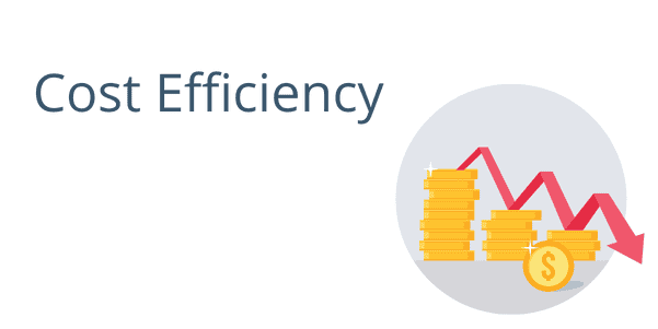 The Cloud Supports Cost Efficiency